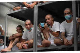 El Salvador Menghadapi Tantangan Kriminalitas: Kasus Geng MS-13
